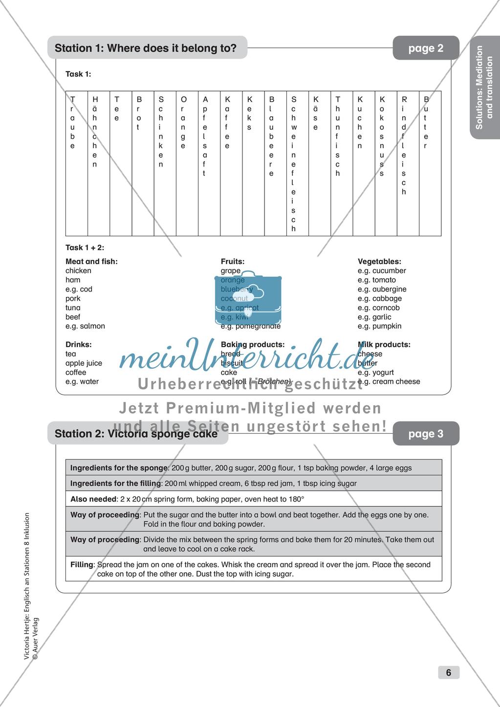 Stationenarbeit: Mediation and Translation Preview 8