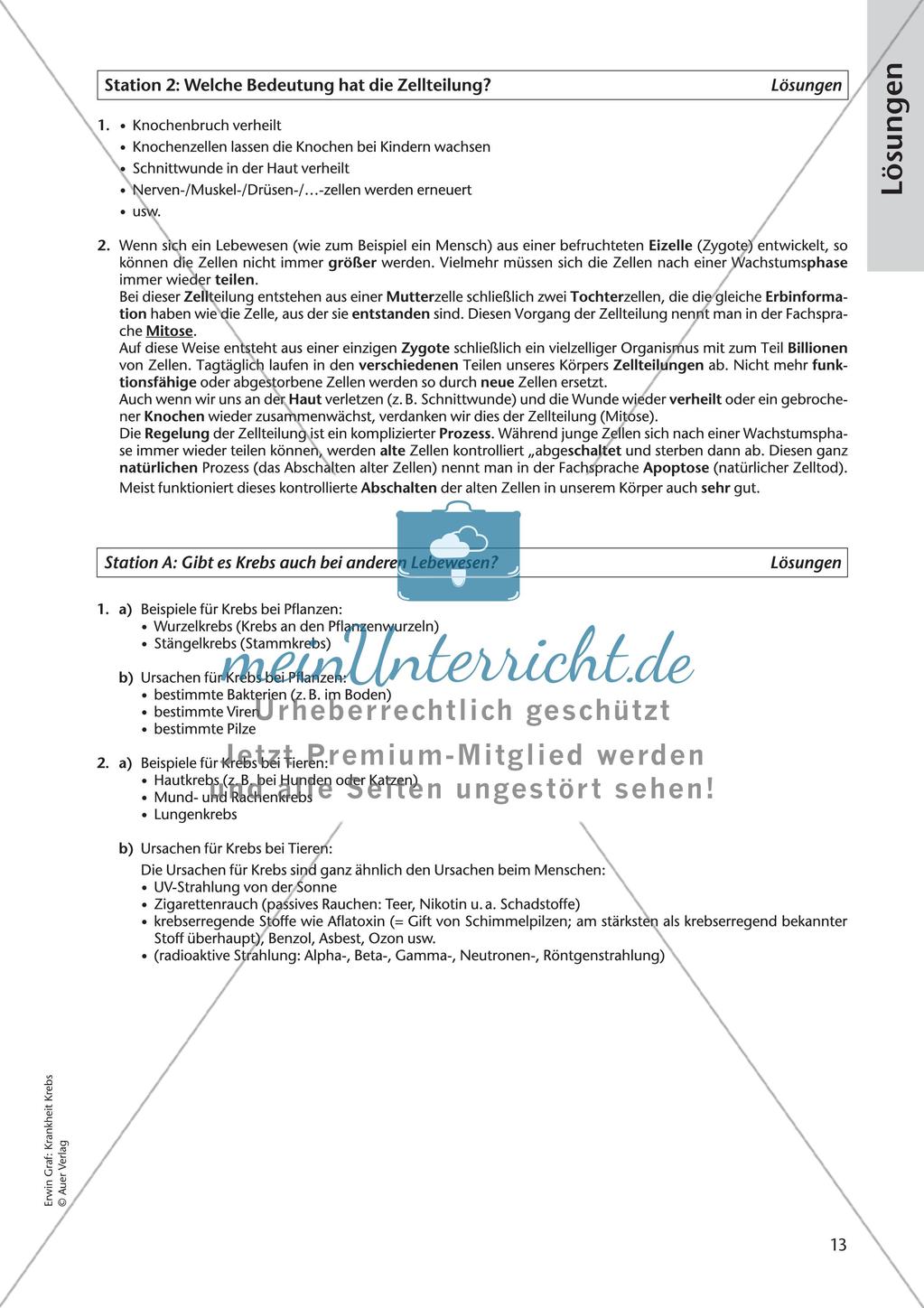Grundlagen zu Zellen: Krankheit Krebs Preview 15