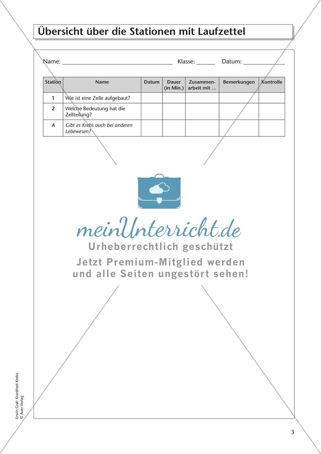 Grundlagen zu Zellen: Krankheit Krebs Preview 5