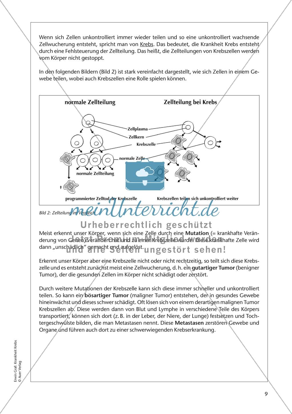 Grundlagen: Krankheit Krebs Preview 11