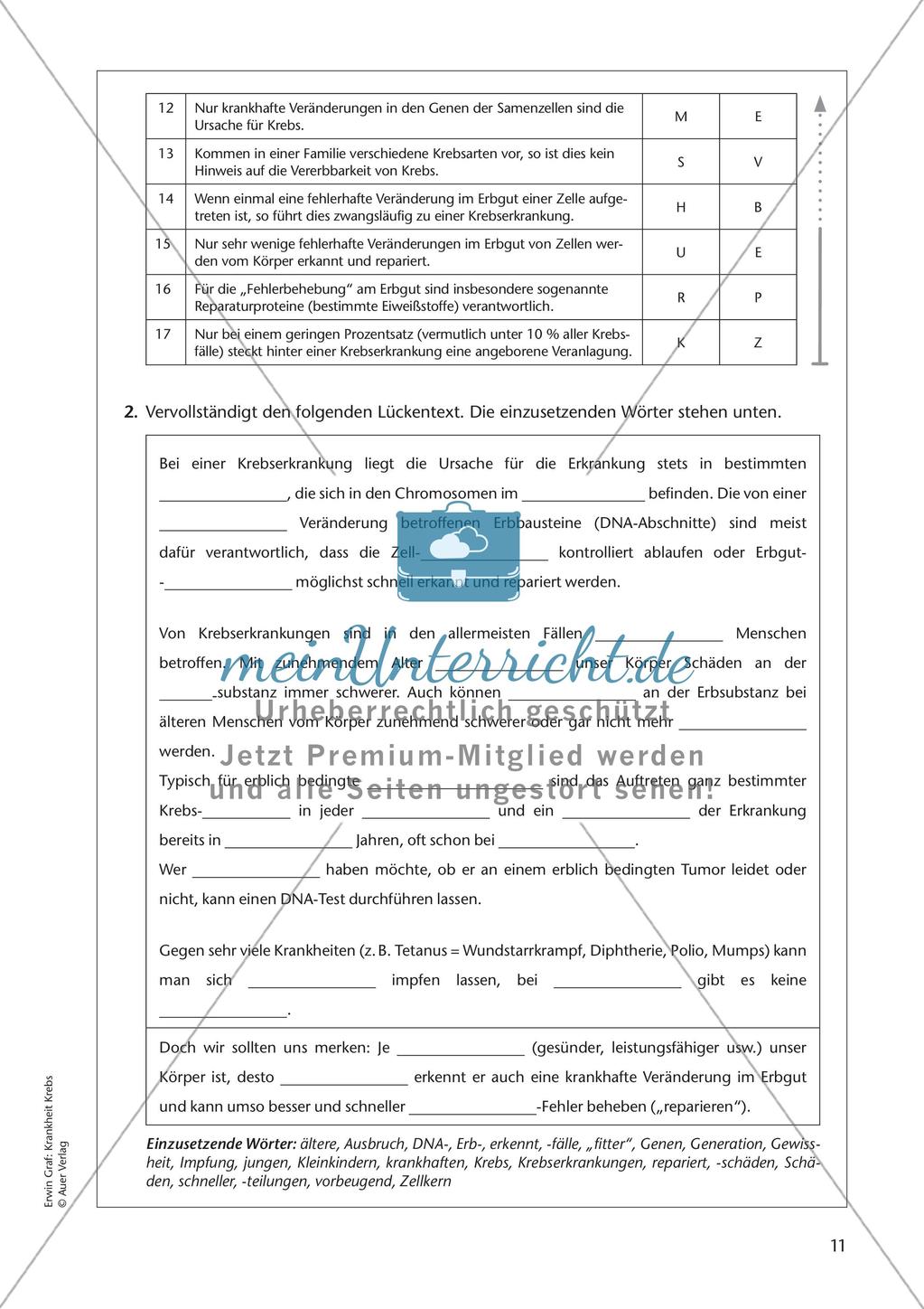 Grundlagen: Krankheit Krebs Preview 13
