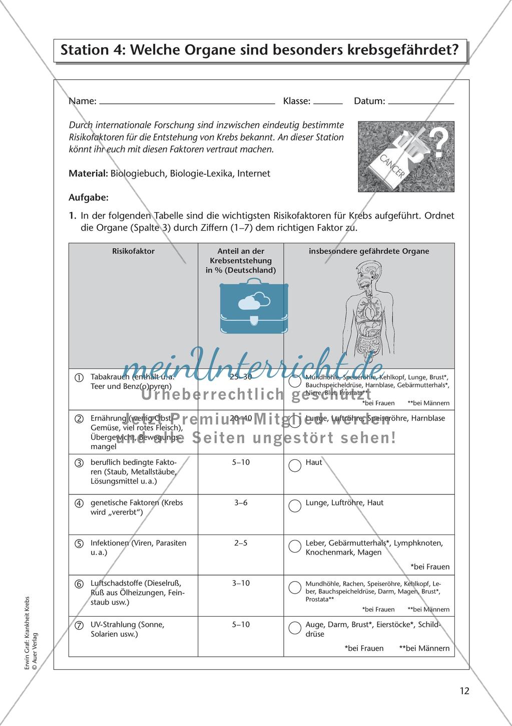 Grundlagen: Krankheit Krebs Preview 14