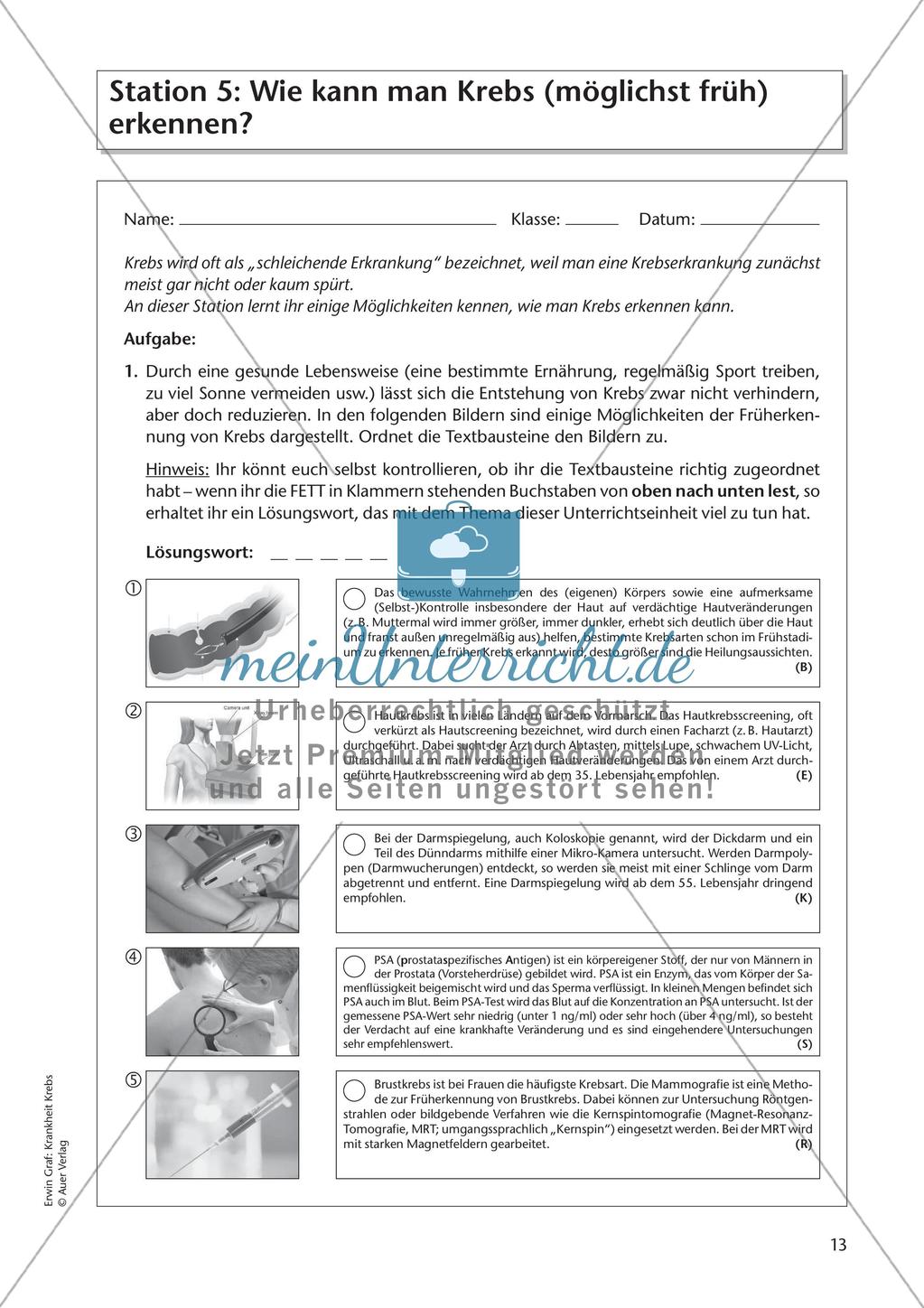 Grundlagen: Krankheit Krebs Preview 15