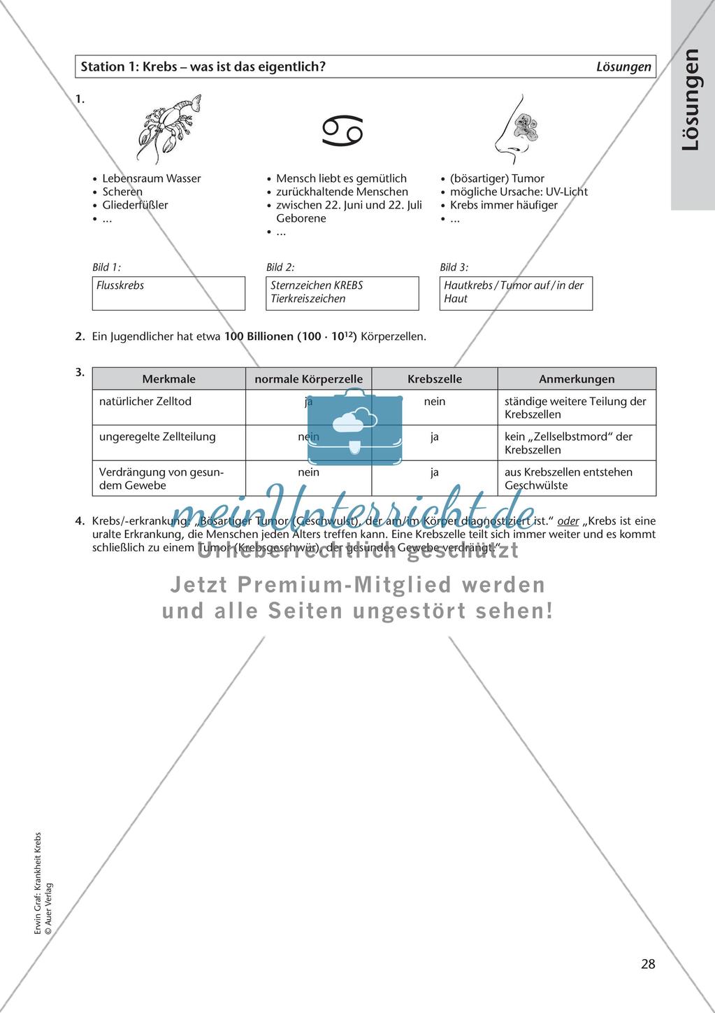 Grundlagen: Krankheit Krebs Preview 30
