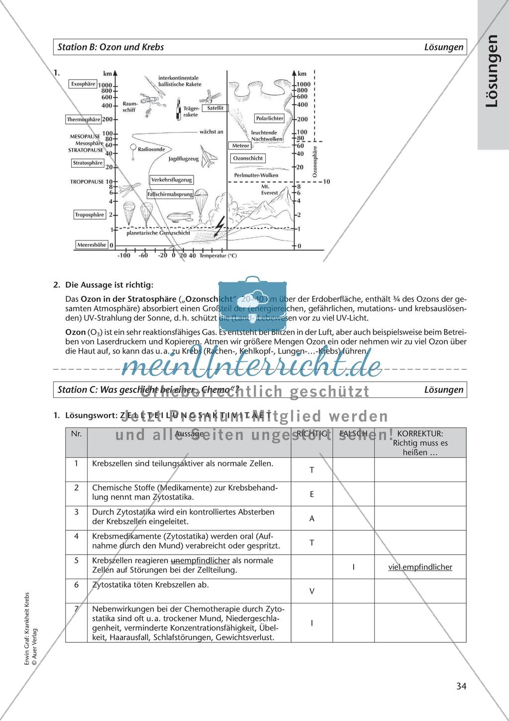 Grundlagen: Krankheit Krebs Preview 36