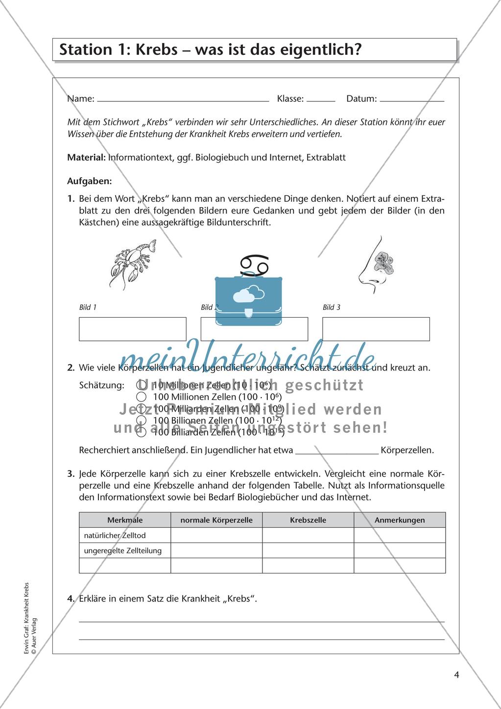 Grundlagen: Krankheit Krebs Preview 6