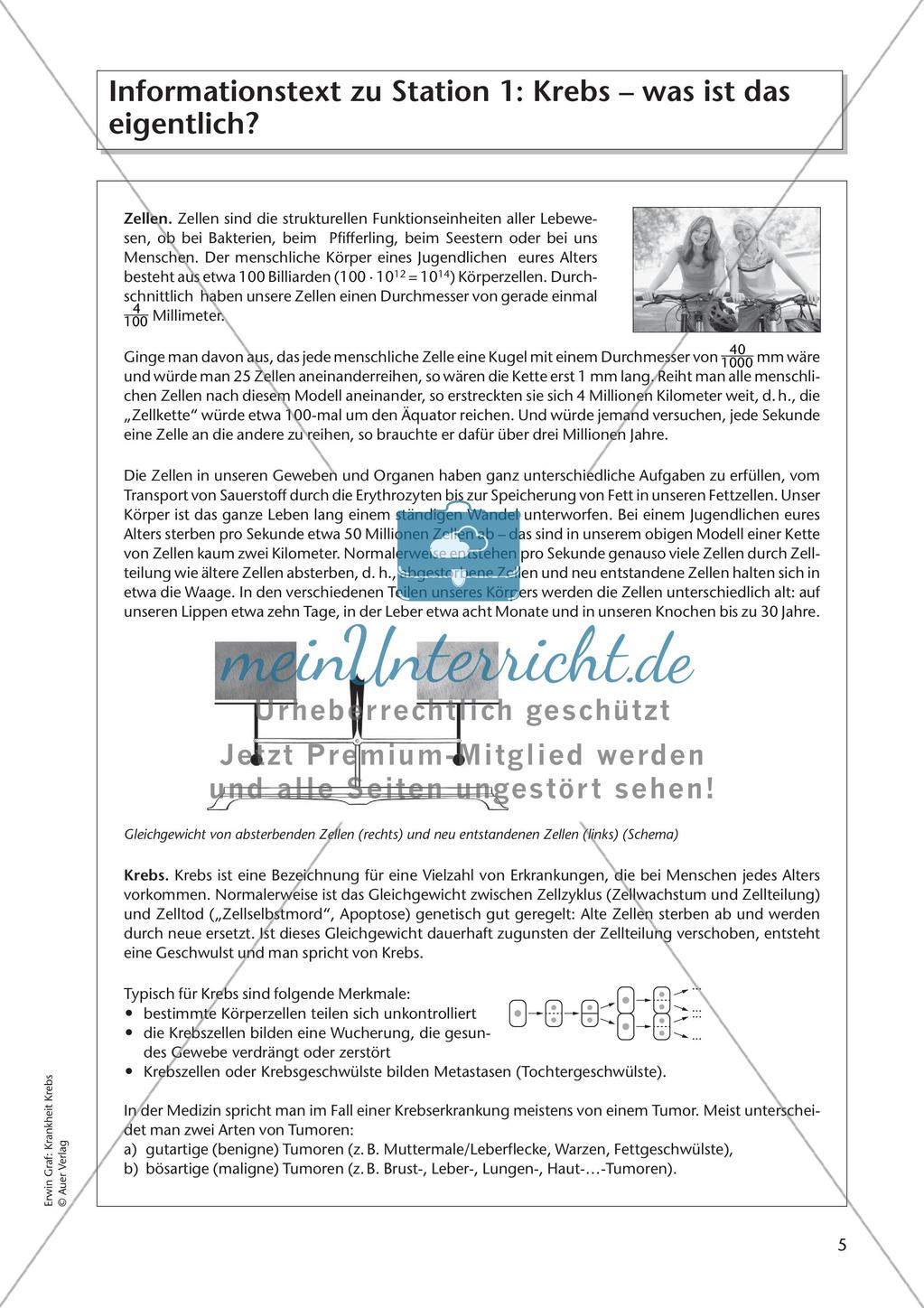 Grundlagen: Krankheit Krebs Preview 7
