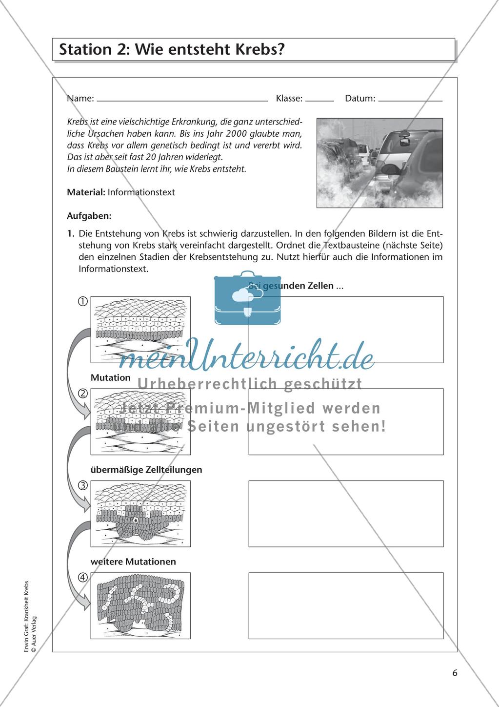 Grundlagen: Krankheit Krebs Preview 8