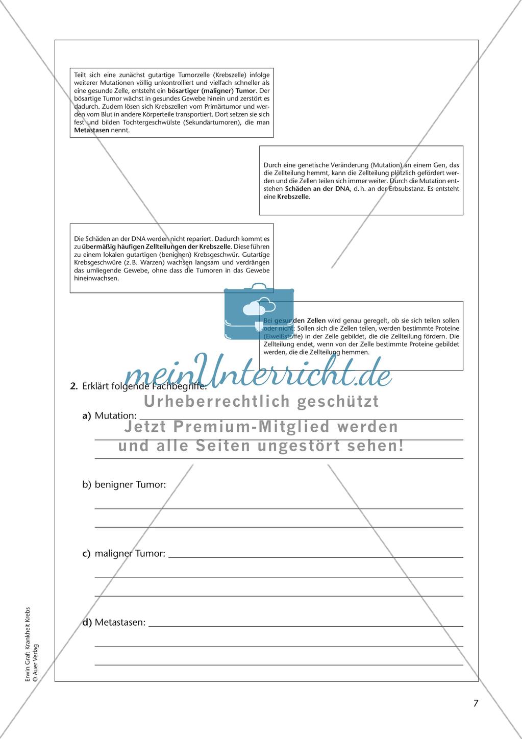 Grundlagen: Krankheit Krebs Preview 9