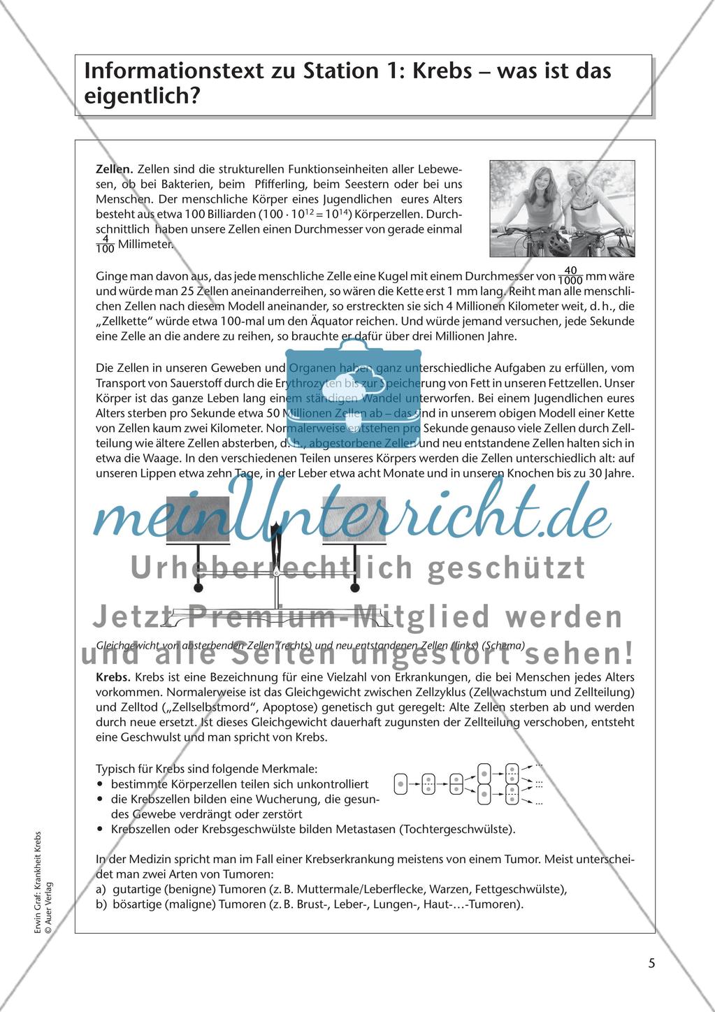 Krankheit Krebs - Teil 1 Preview 2