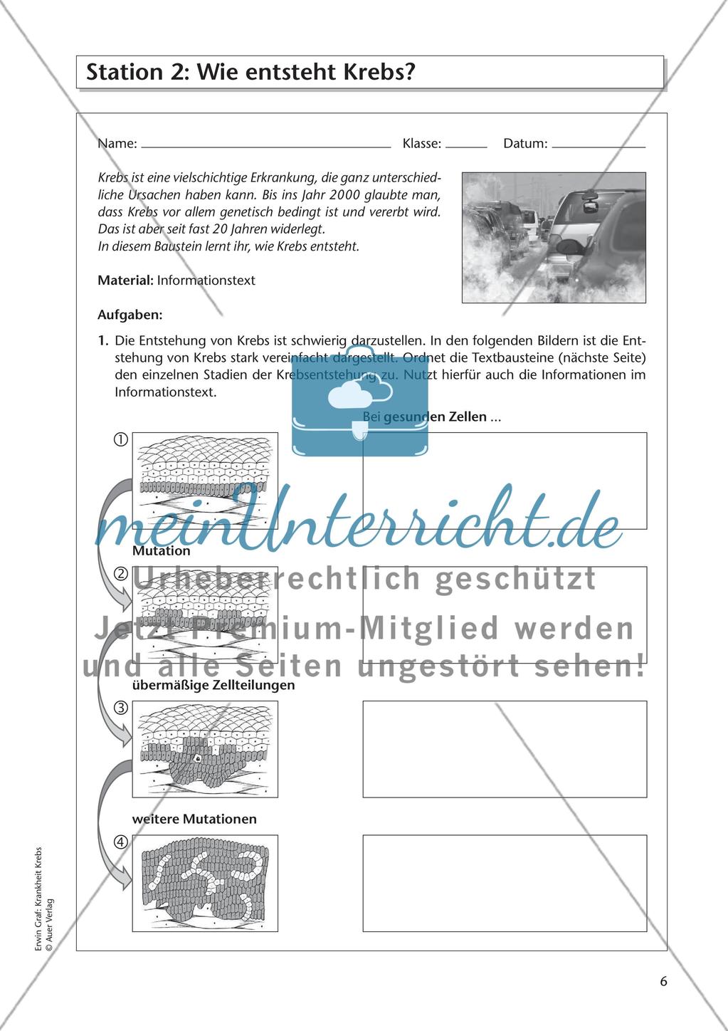 Krankheit Krebs - Teil 1 Preview 3