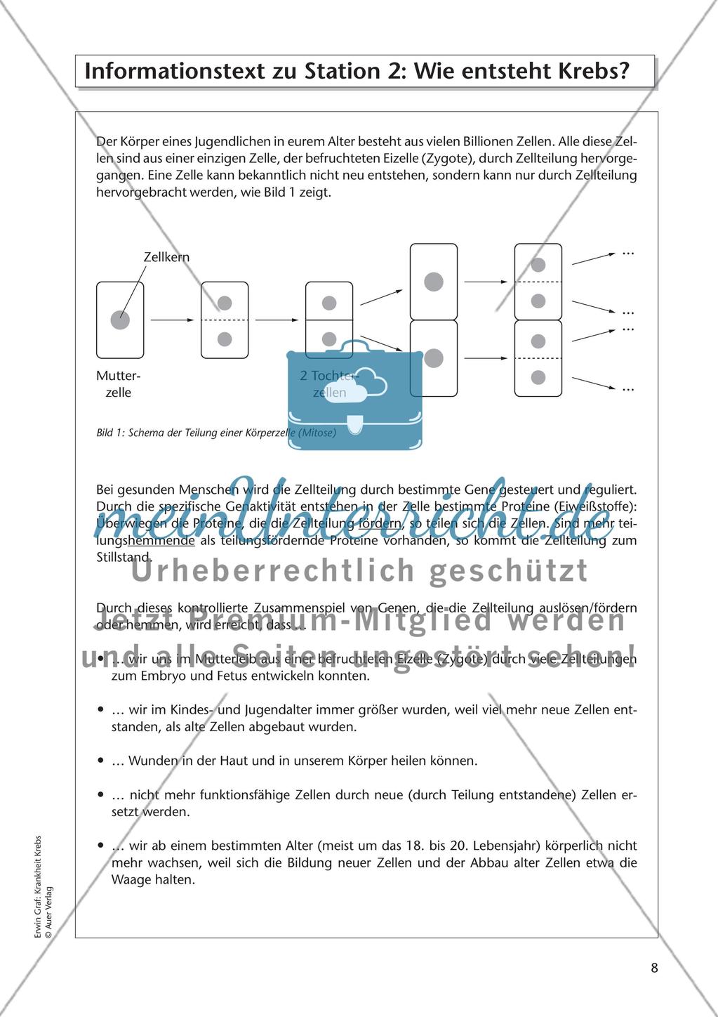 Krankheit Krebs - Teil 1 Preview 5