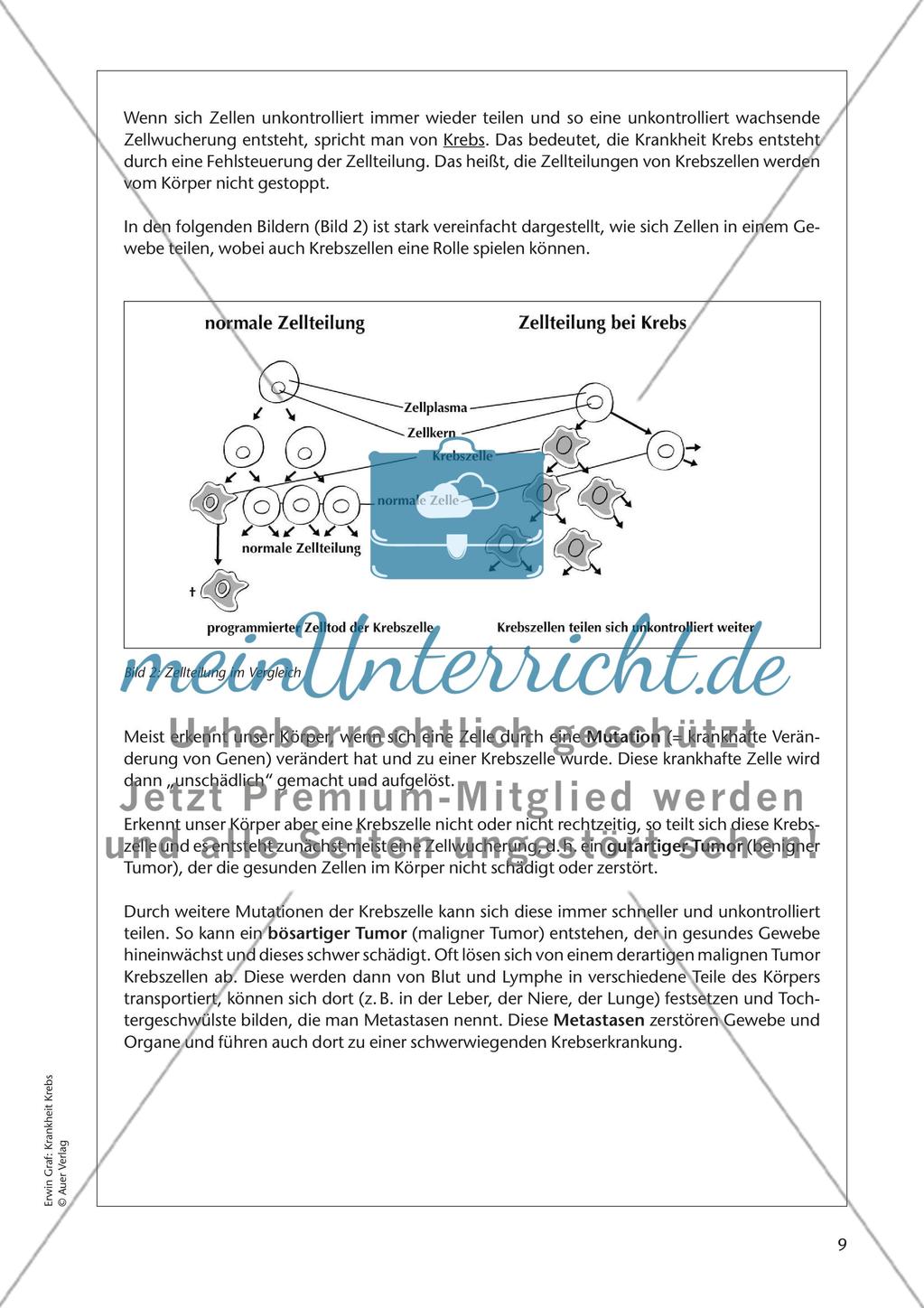 Krankheit Krebs - Teil 1 Preview 6