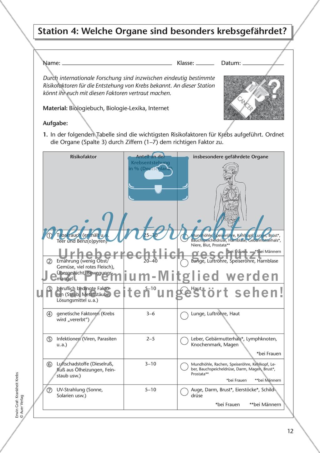 Krankheit Krebs - Teil 2 Preview 1
