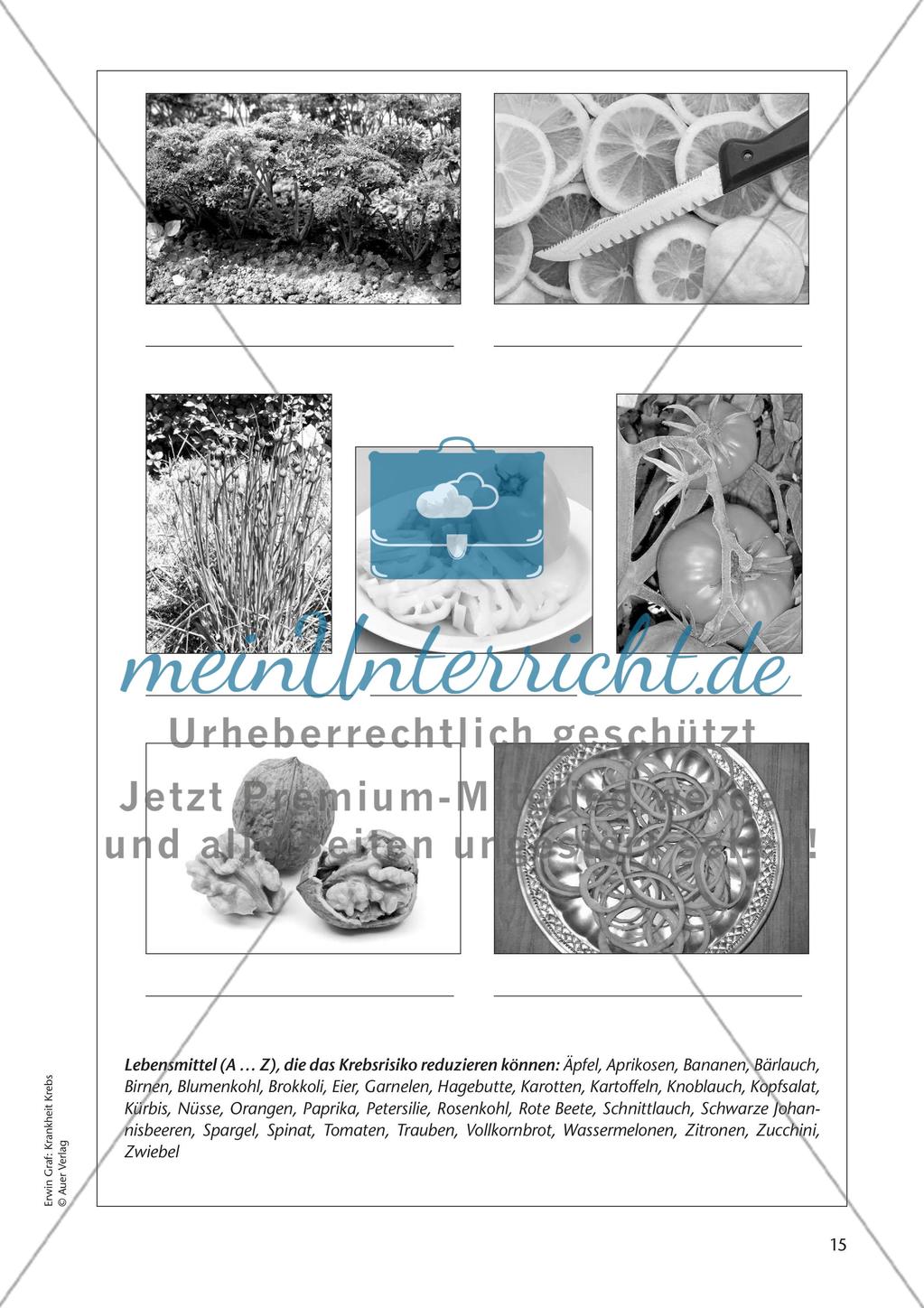 Krankheit Krebs - Teil 2 Preview 4