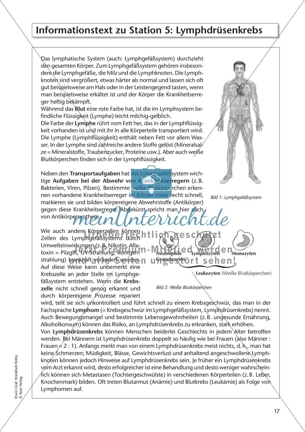 Bekannte Krebsarten Preview 19