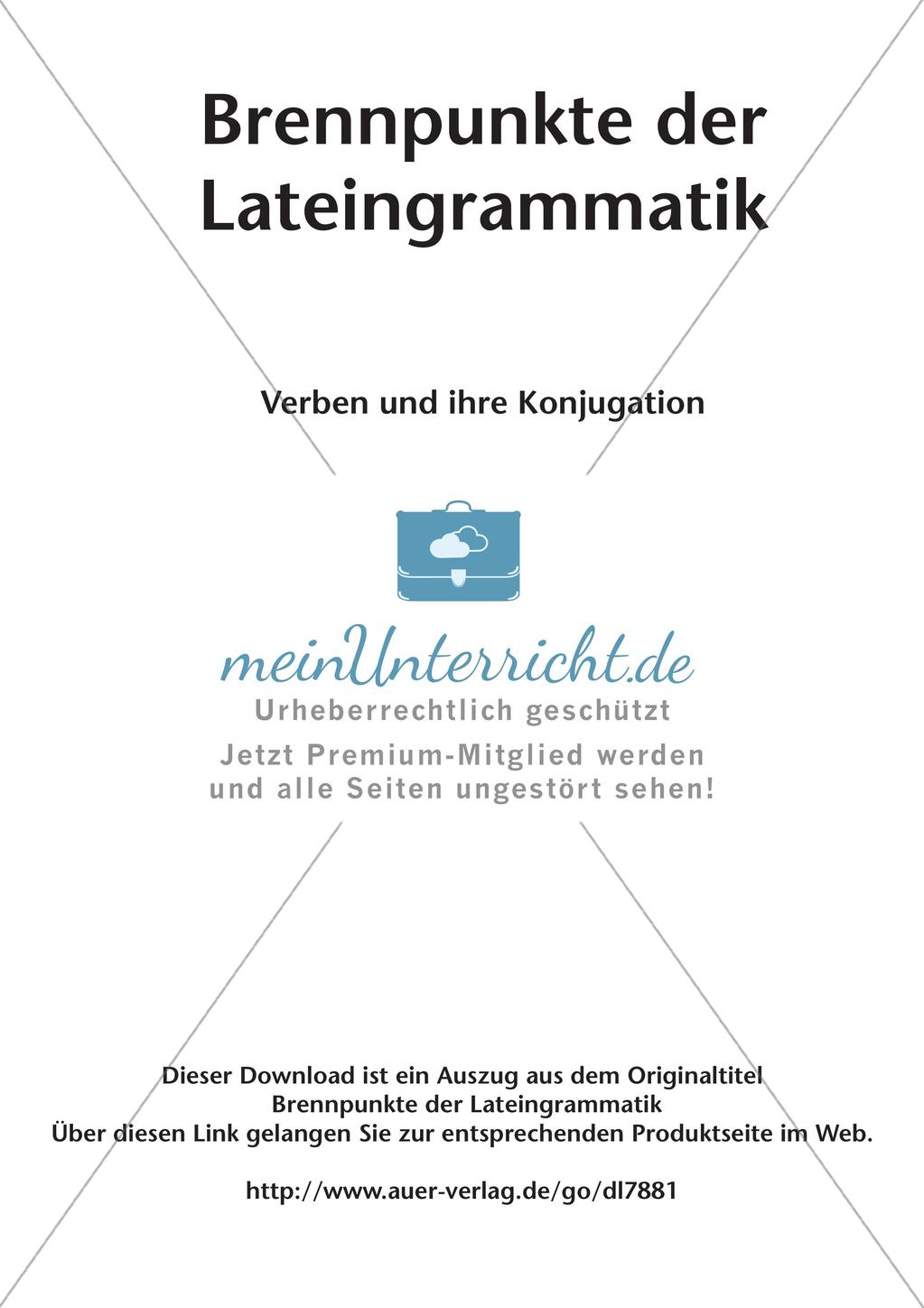 Verben und ihre Konjugation Preview 2