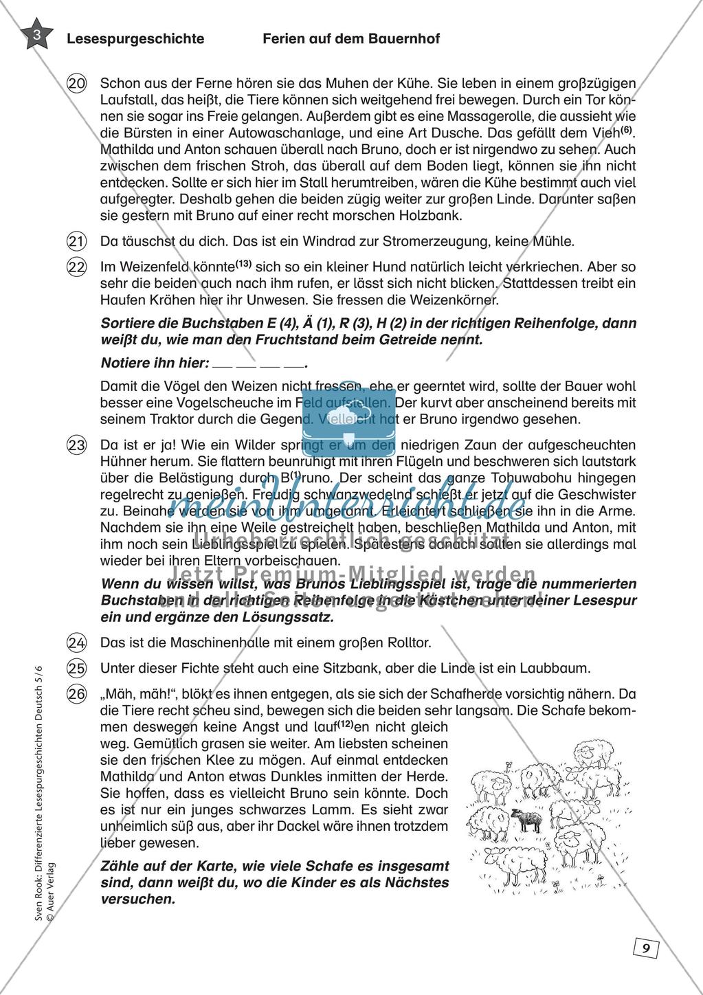 Differenzierte Lesespurgeschichten: Ferien Preview 11