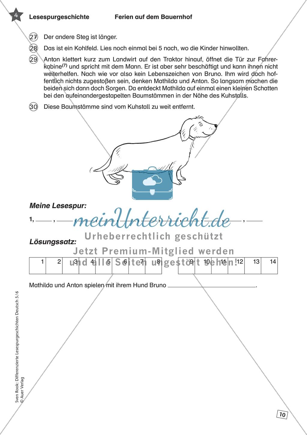 Differenzierte Lesespurgeschichten: Ferien Preview 12