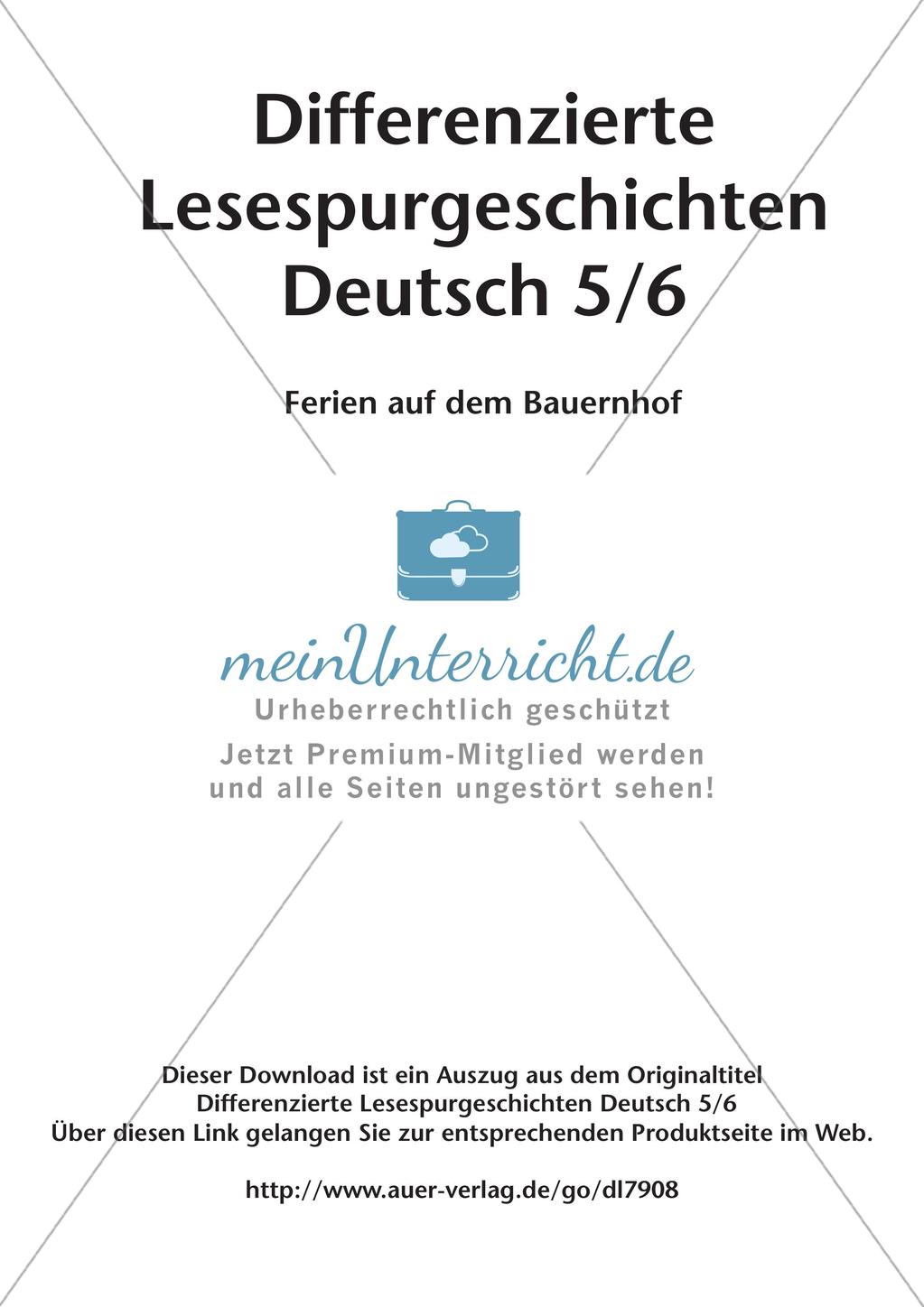 Differenzierte Lesespurgeschichten: Ferien Preview 2
