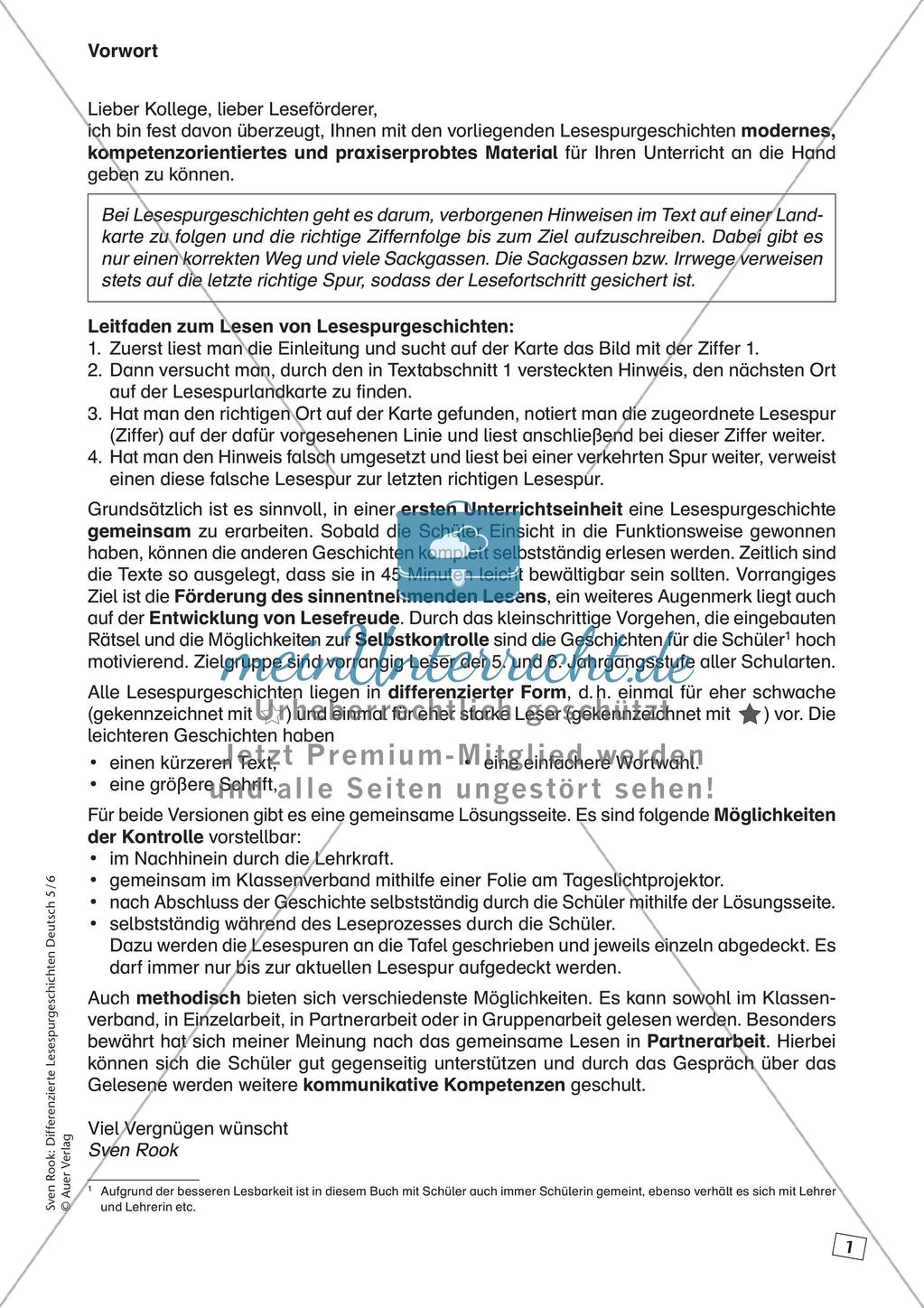 Differenzierte Lesespurgeschichten: Ferien Preview 3