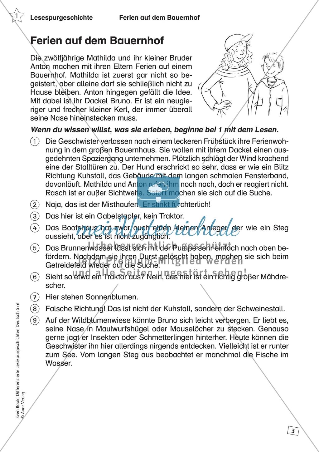 Differenzierte Lesespurgeschichten: Ferien Preview 5