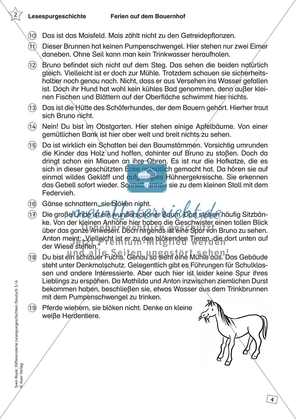 Differenzierte Lesespurgeschichten: Ferien Preview 6