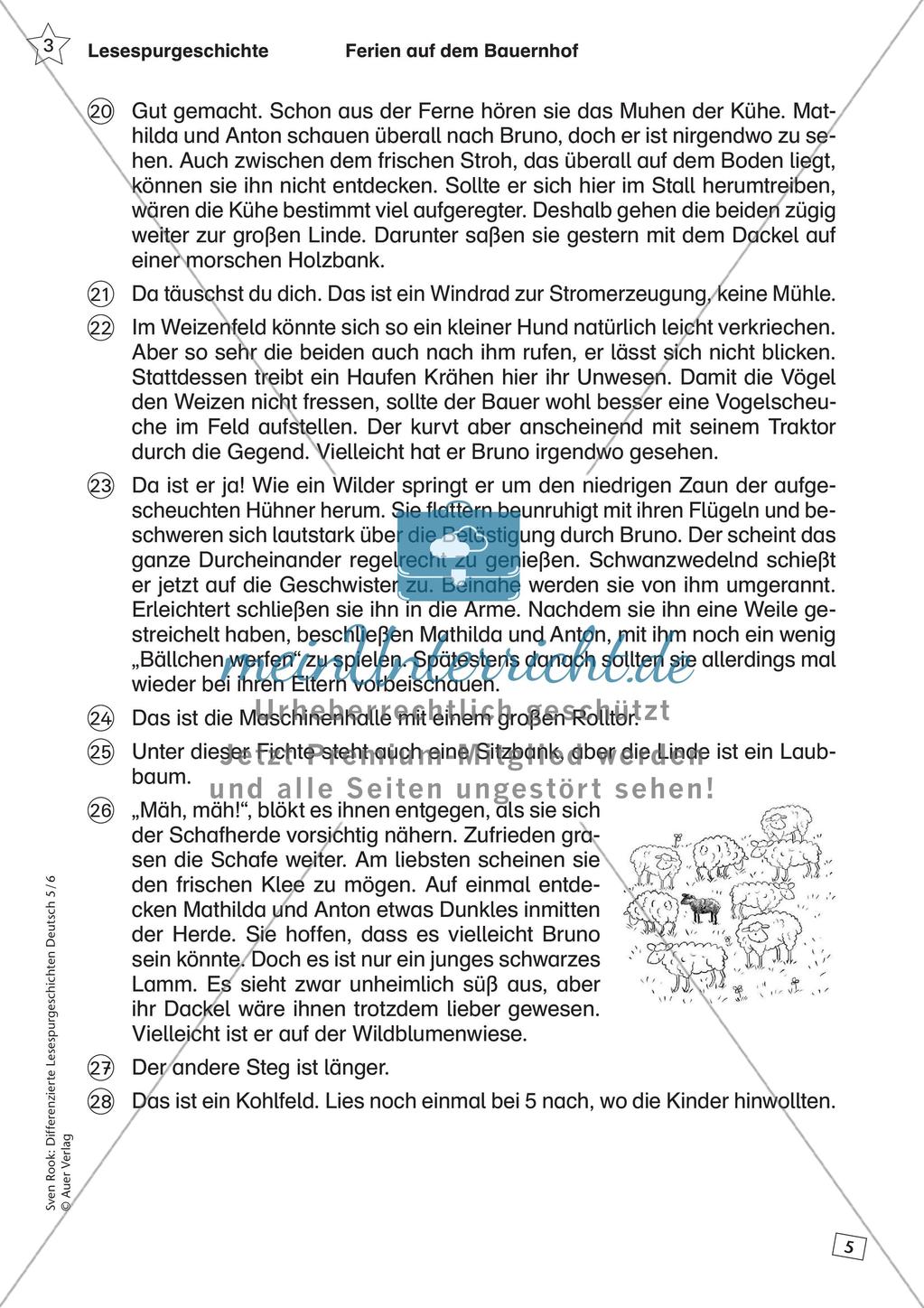 Differenzierte Lesespurgeschichten: Ferien Preview 7