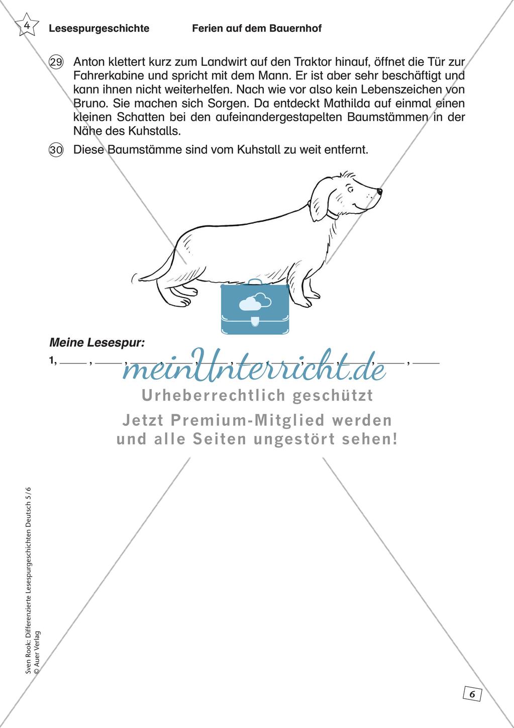 Differenzierte Lesespurgeschichten: Ferien Preview 8