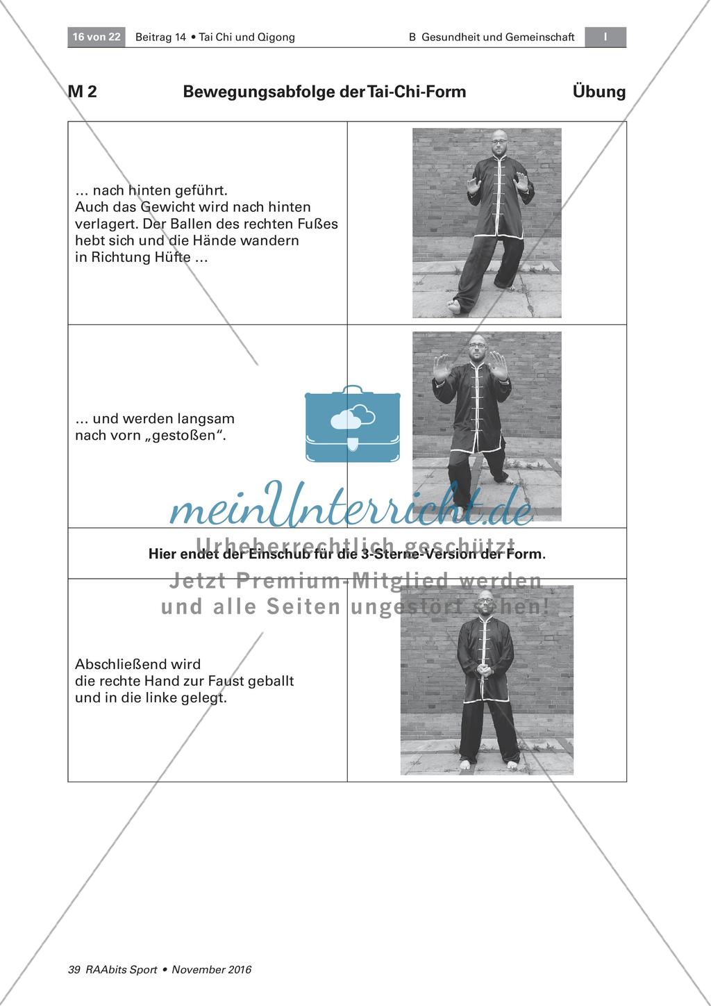 Tai Chi: Bewegungsabfolgen Preview 10