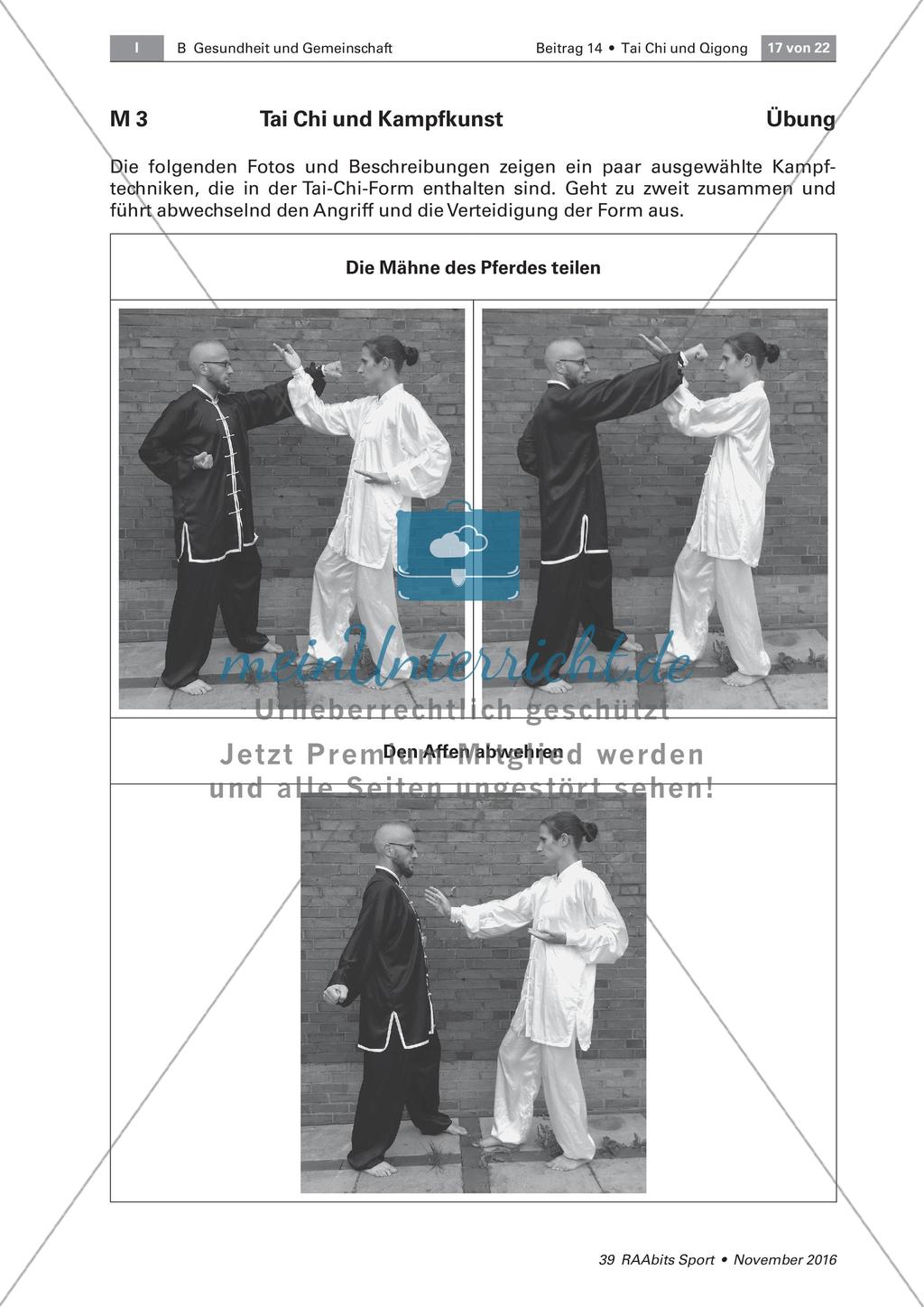 Tai Chi: Bewegungsabfolgen Preview 11