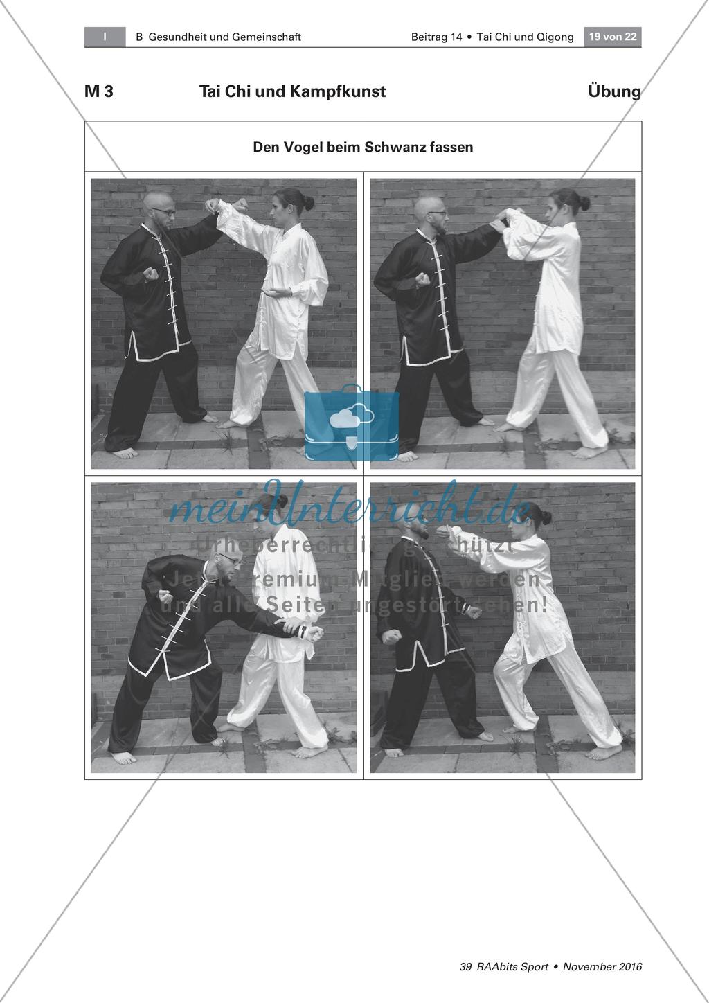 Tai Chi: Bewegungsabfolgen Preview 13