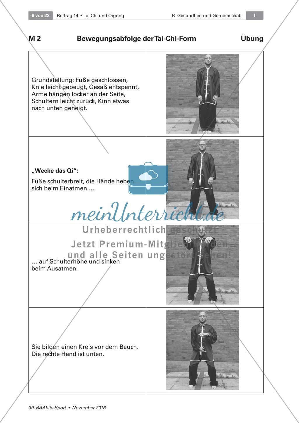 Tai Chi: Bewegungsabfolgen Preview 2