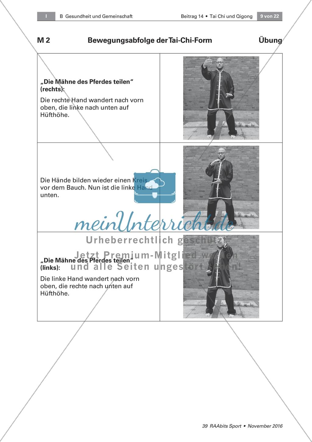 Tai Chi: Bewegungsabfolgen Preview 3