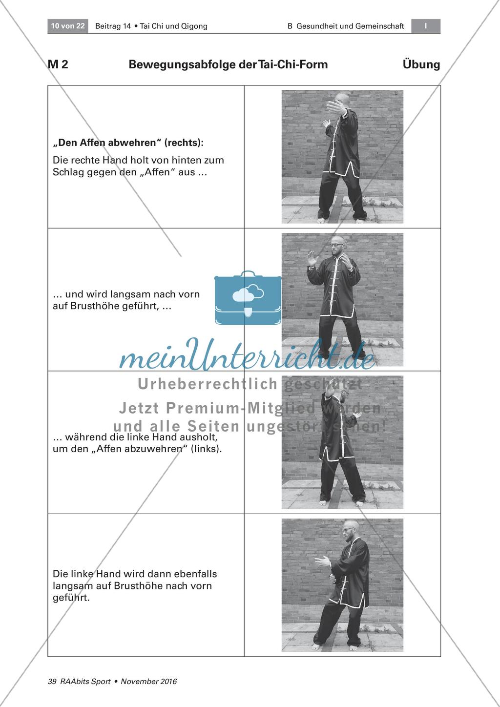 Tai Chi: Bewegungsabfolgen Preview 4