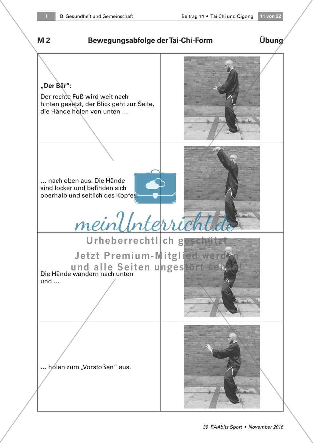Tai Chi: Bewegungsabfolgen Preview 5