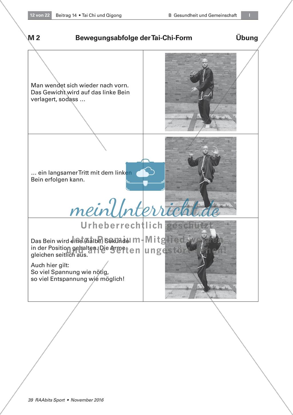 Tai Chi: Bewegungsabfolgen Preview 6