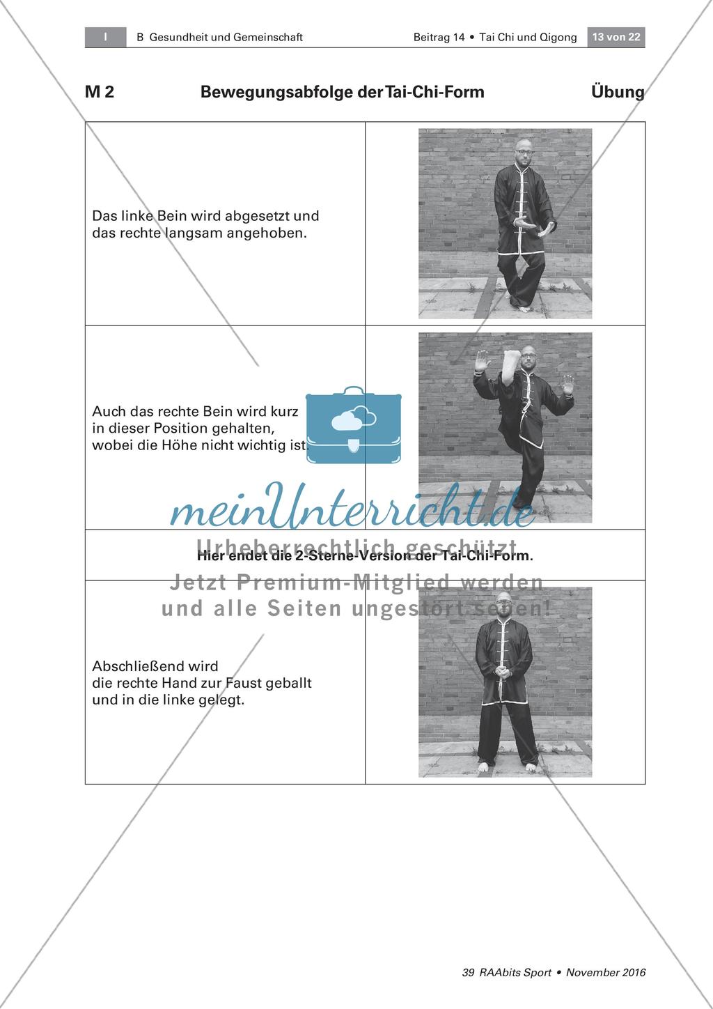 Tai Chi: Bewegungsabfolgen Preview 7