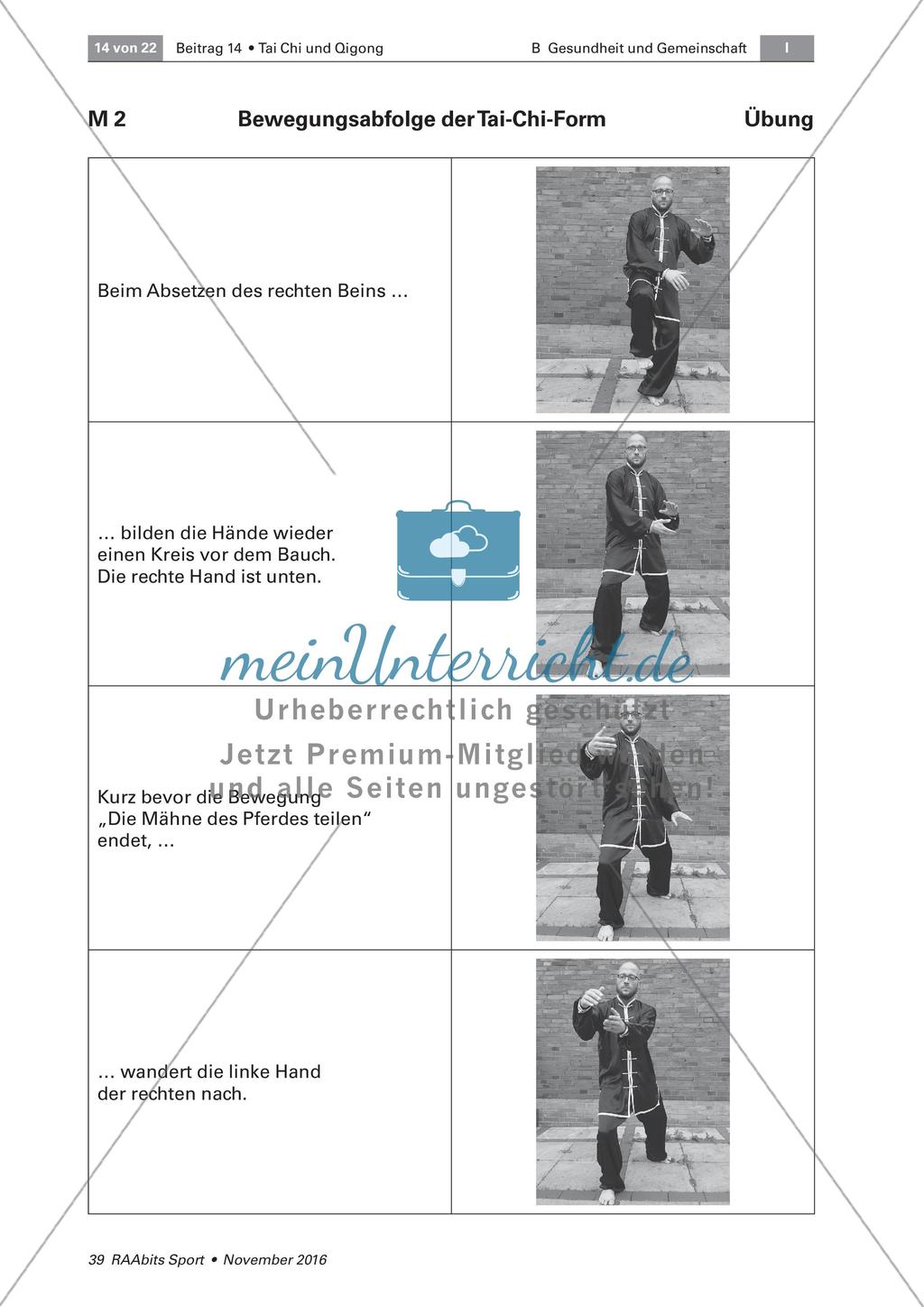 Tai Chi: Bewegungsabfolgen Preview 8