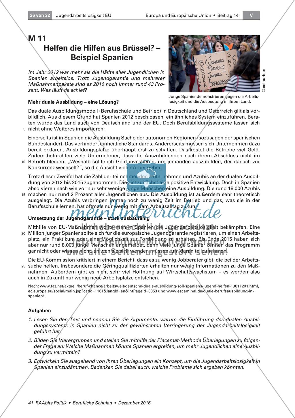 Konzept zur Bekämpfung der Jugendarbeitslosigkeit Preview 1