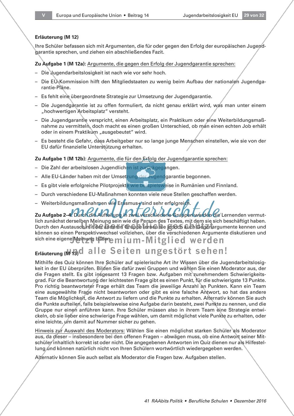 Konzept zur Bekämpfung der Jugendarbeitslosigkeit Preview 4