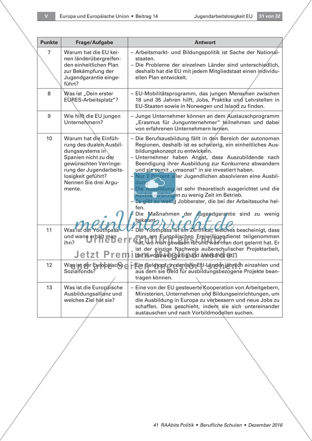 Konzept zur Bekämpfung der Jugendarbeitslosigkeit Preview 6