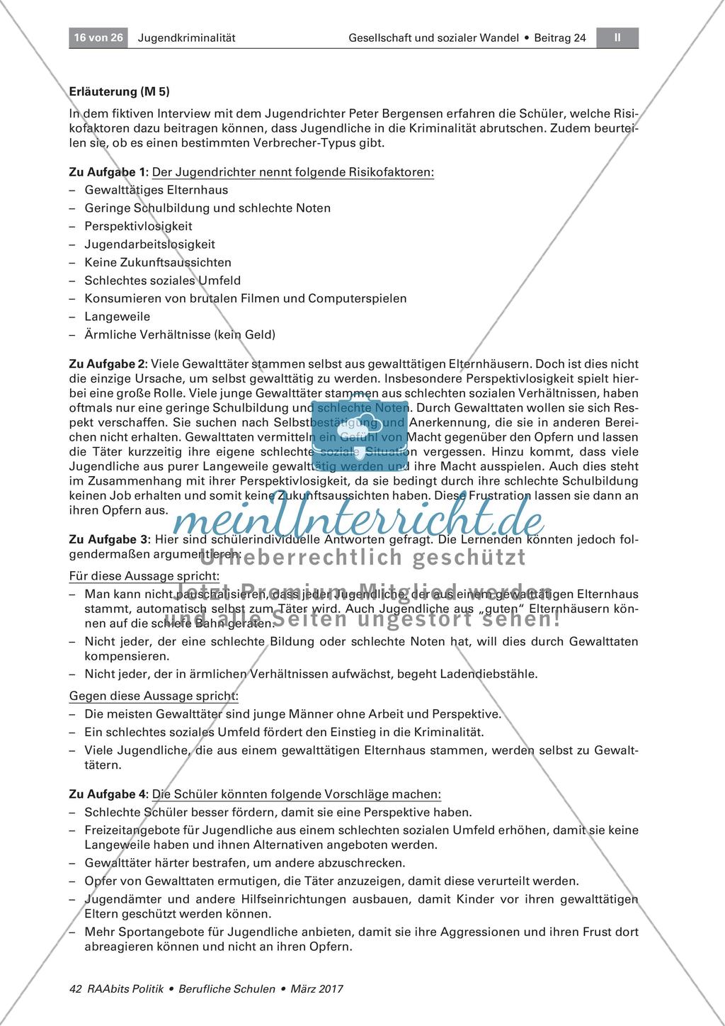 Jugendkriminalität: Entwicklung, Ursachen und Folgen Preview 7
