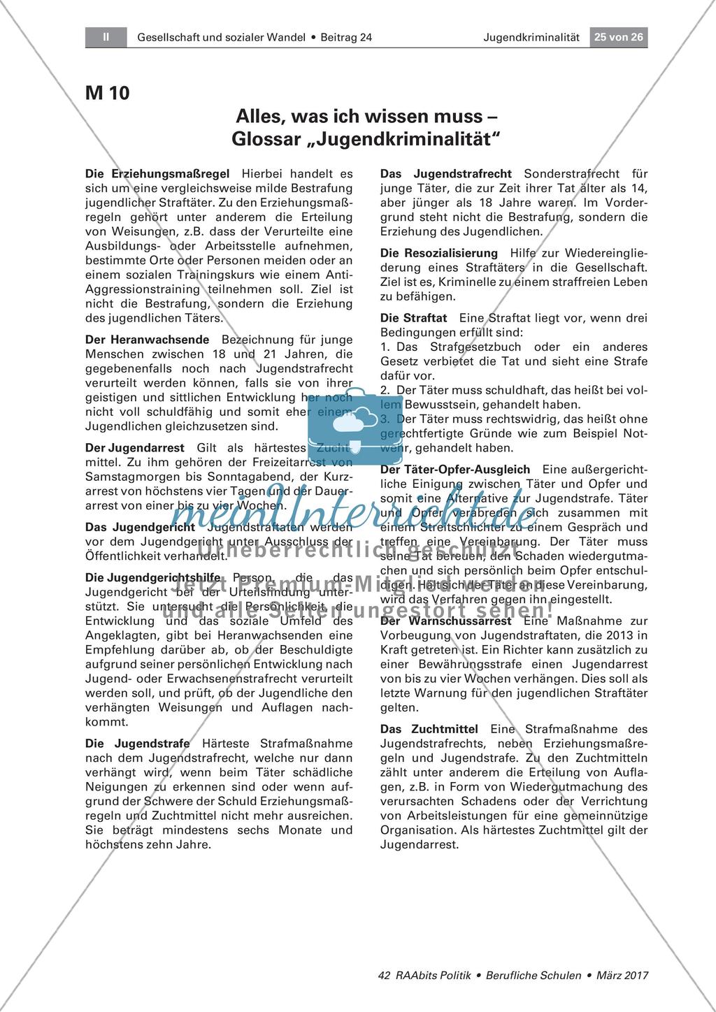 Quiz und Glossar zur Jugendkriminalität Preview 3
