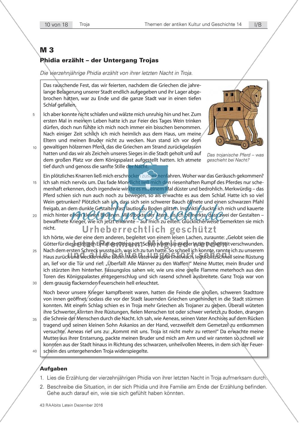 Die Sage Homers: der Trojanische Krieg Preview 4