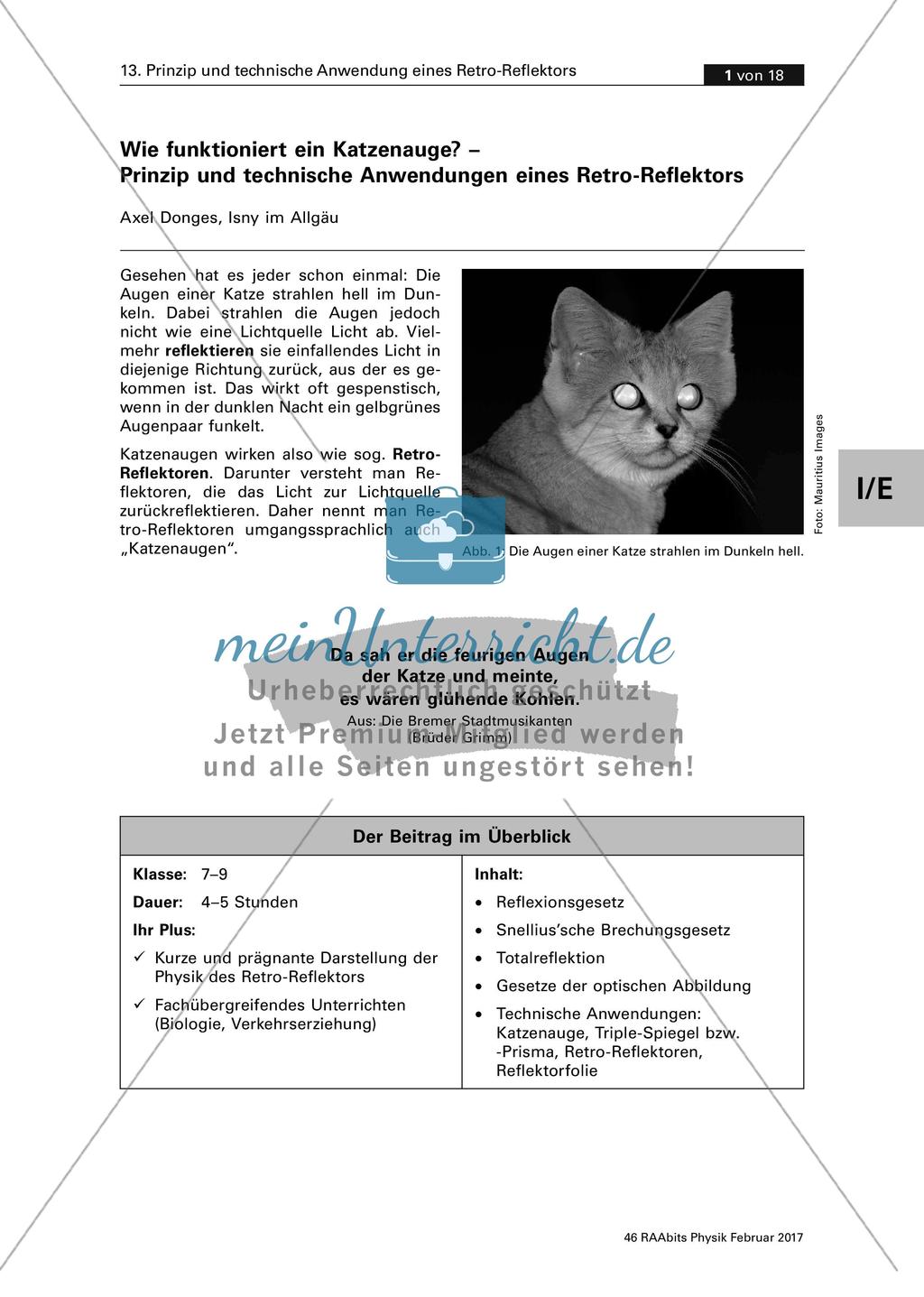Wie funktioniert ein Katzenauge? - Prinzip und technische Anwendung eines Retro-Reflektors Preview 1