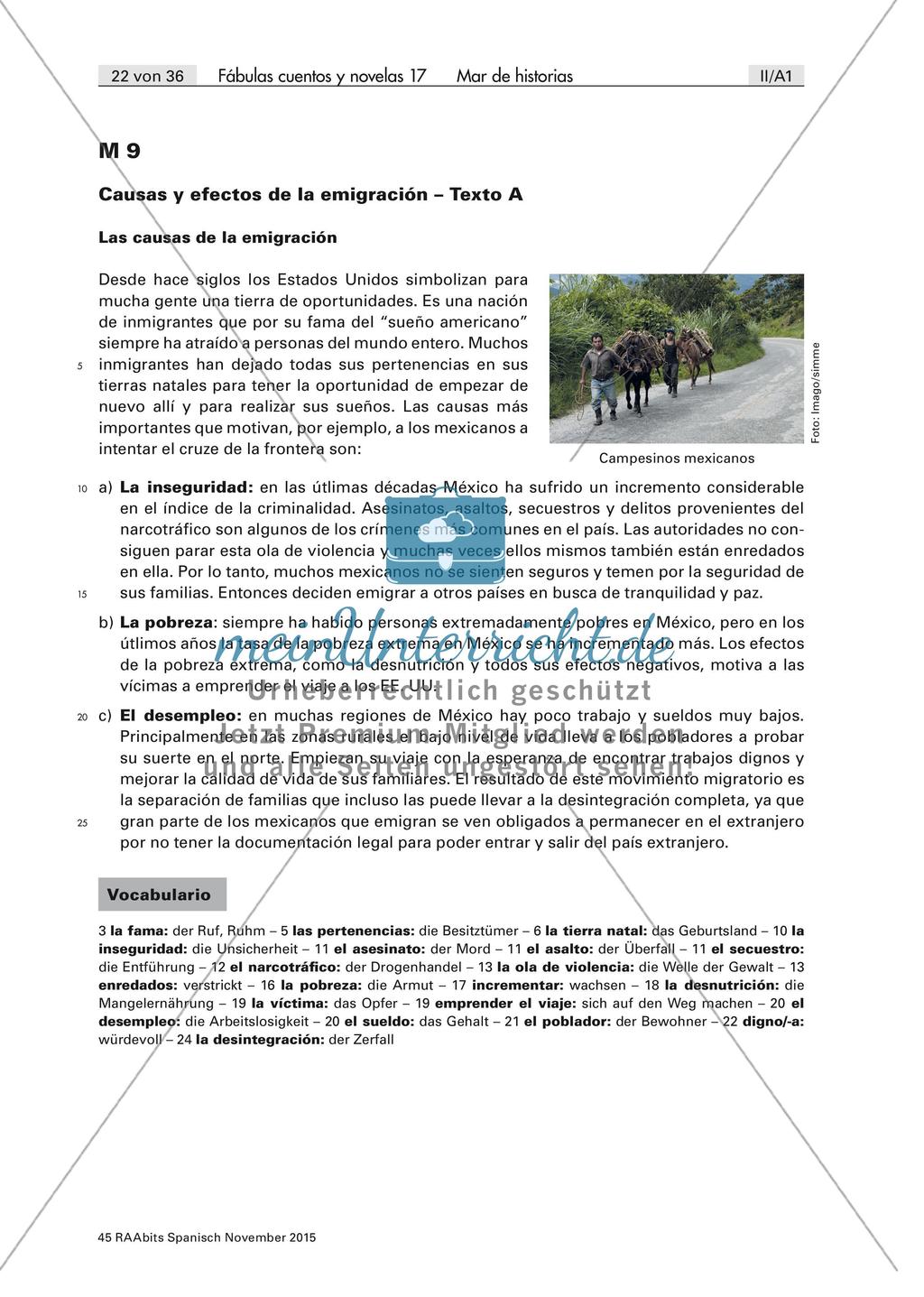 Inmigración ilegal: causas y efectos Preview 2