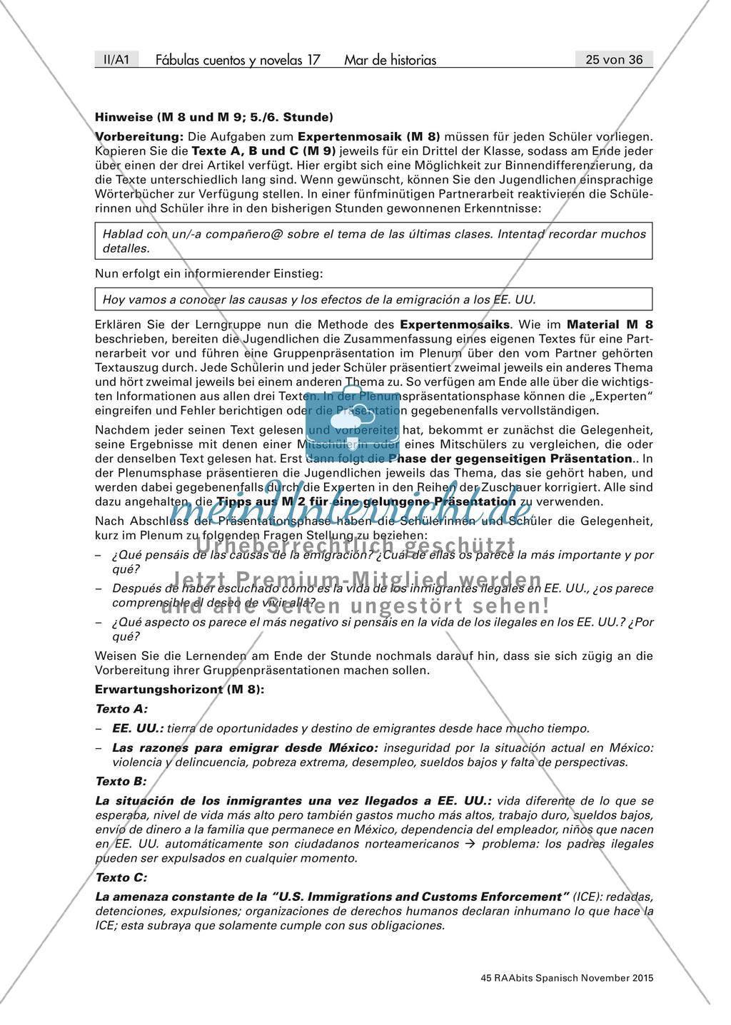 Inmigración ilegal: causas y efectos Preview 5