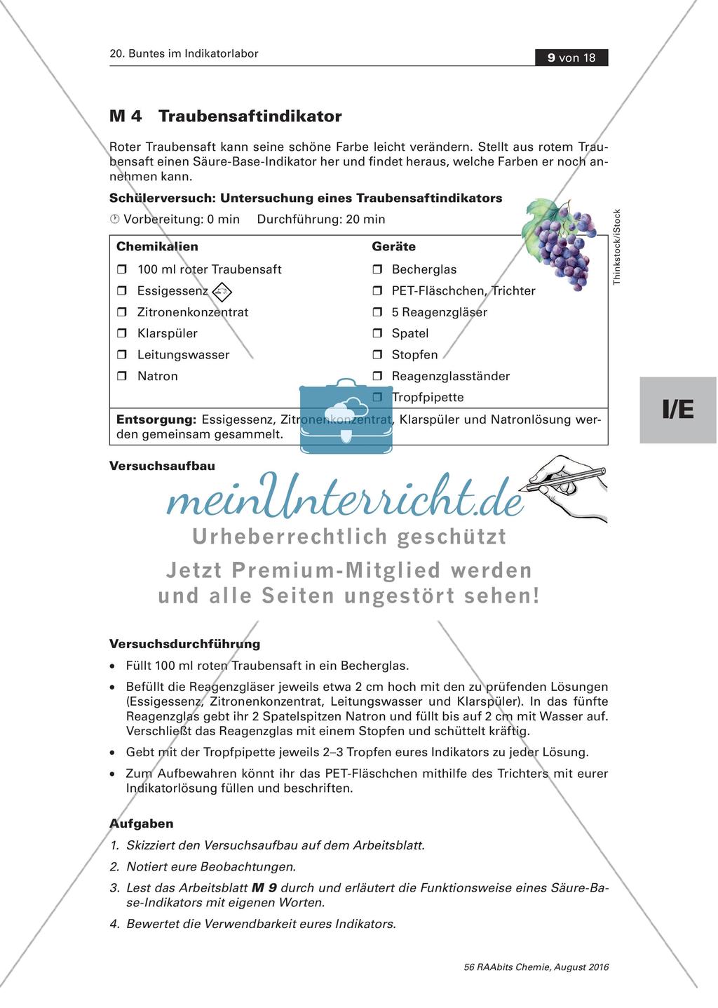 Herstellung pflanzlicher Indikatoren Preview 9