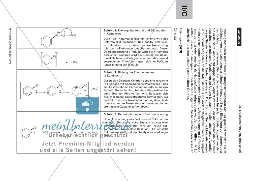 Aromachemie am Beispiel des Erdbeeraromas Preview 20